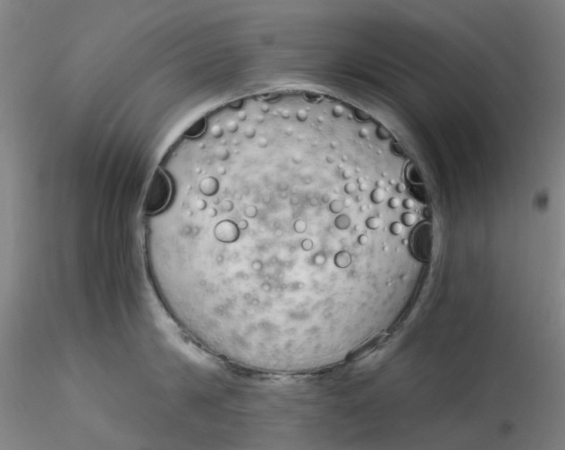 X0000115210814200911251506