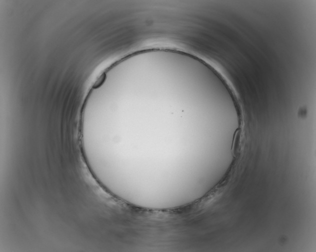 X0000115210815200911251506