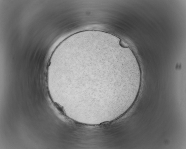 X0000115210816200911251506