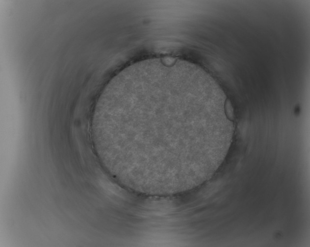 X0000115210817200911251505