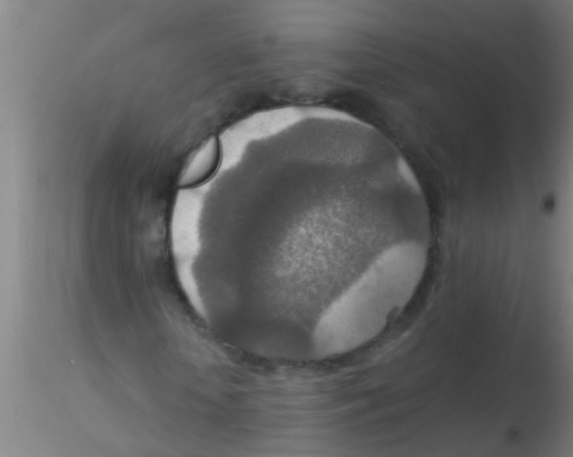 X0000115210818200911251505