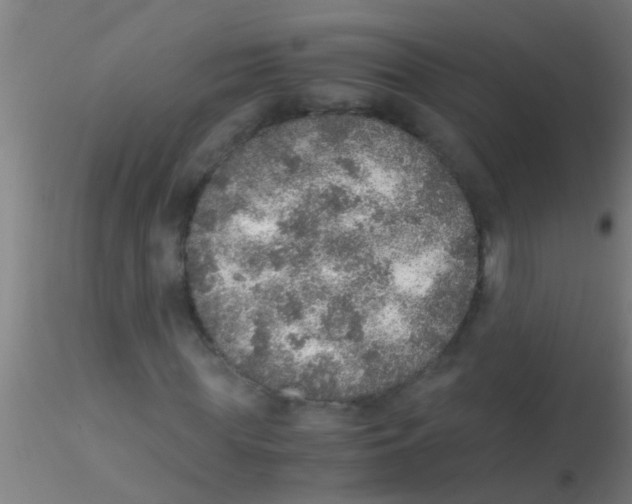 X0000115210819200911251505