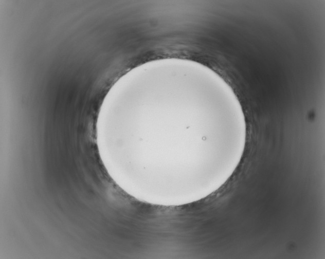 X0000115210820200911251505