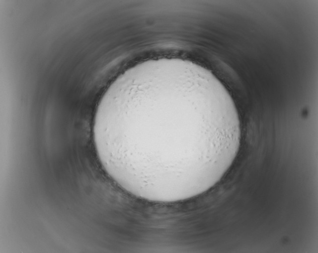 X0000115210821200911251505