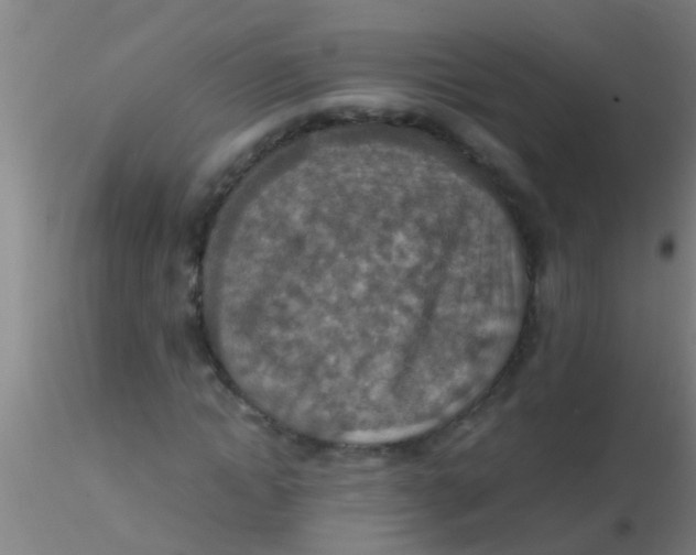 X0000115210822200911251505