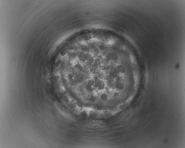 X0000115210823200911251505