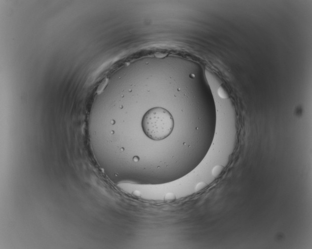 X0000115210824200911251505