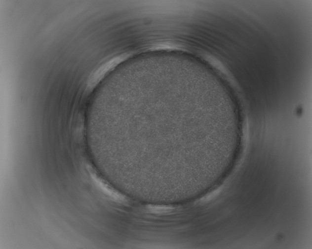 X0000115210825200911251505