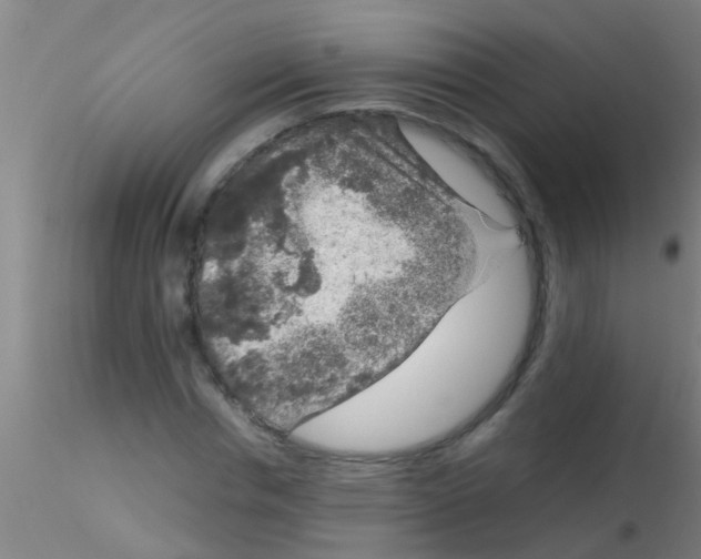 X0000115210826200911251505