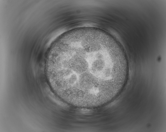 X0000115210827200911251505