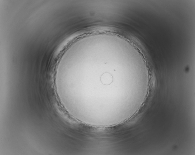 X0000115210828200911251505