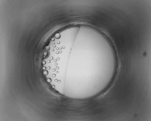 X0000115210829200911251505