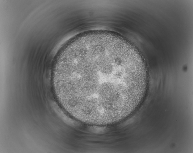 X0000115210831200911251505