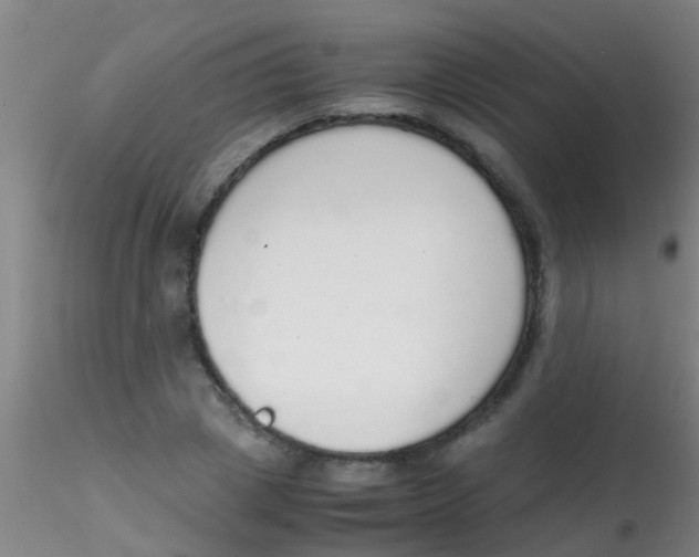 X0000115210833200911251505