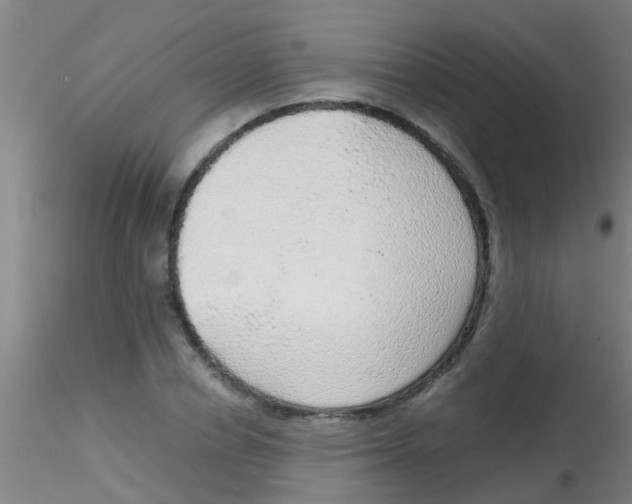 X0000115210834200911251505