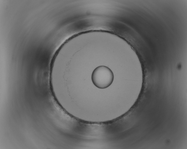 X0000115210836200911251505