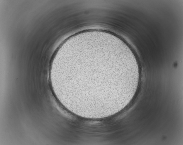 X0000115210837200911251506