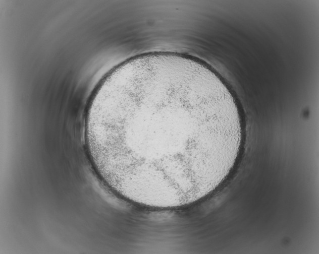 X0000115210838200911251506