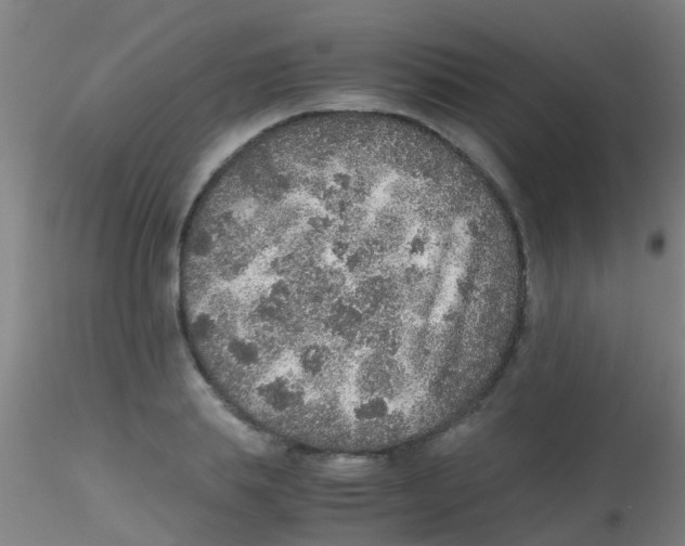 X0000115210839200911251506