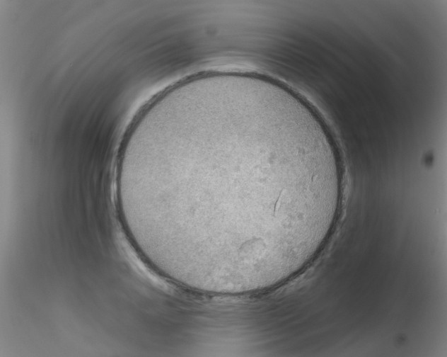 X0000115210840200911251506