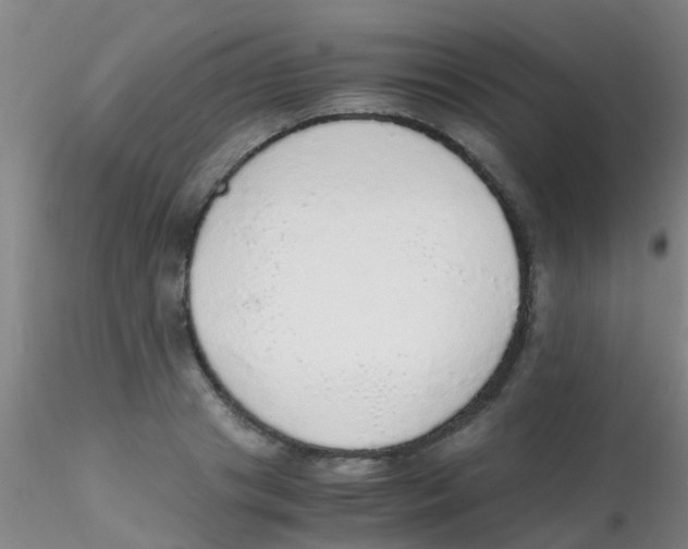 X0000115210841200911251506