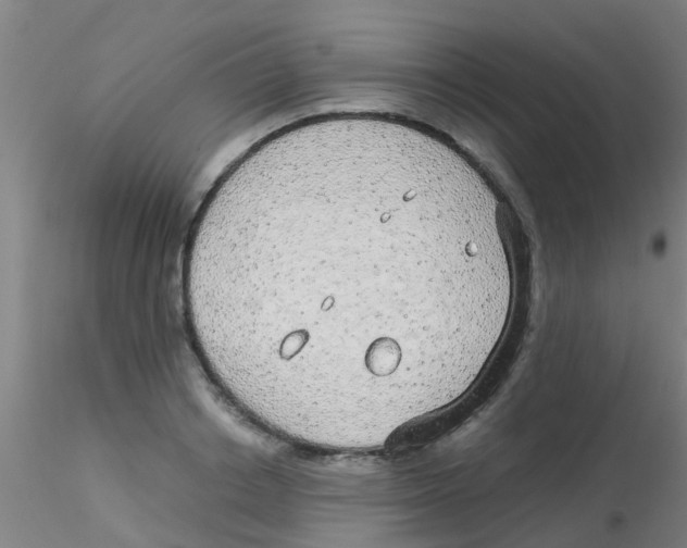 X0000115210842200911251506