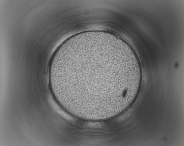 X0000115210843200911251506