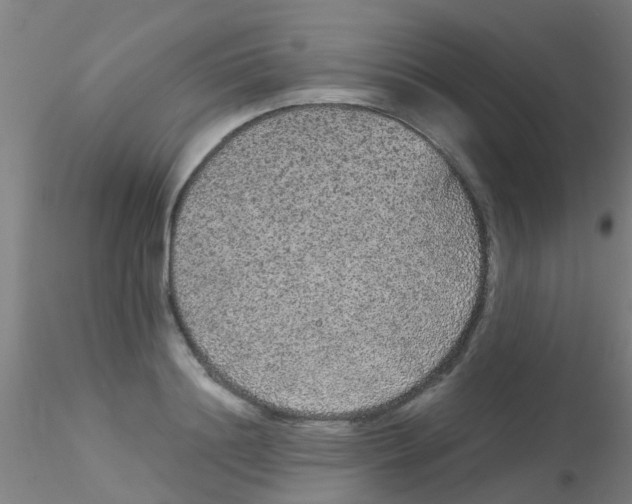 X0000115210844200911251506