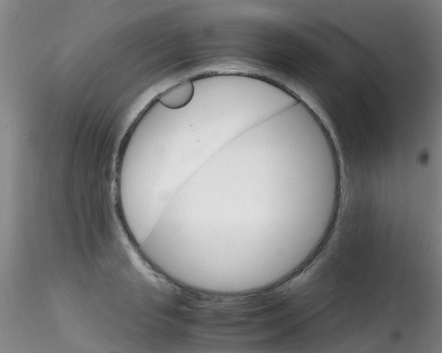 X0000115210845200911251506