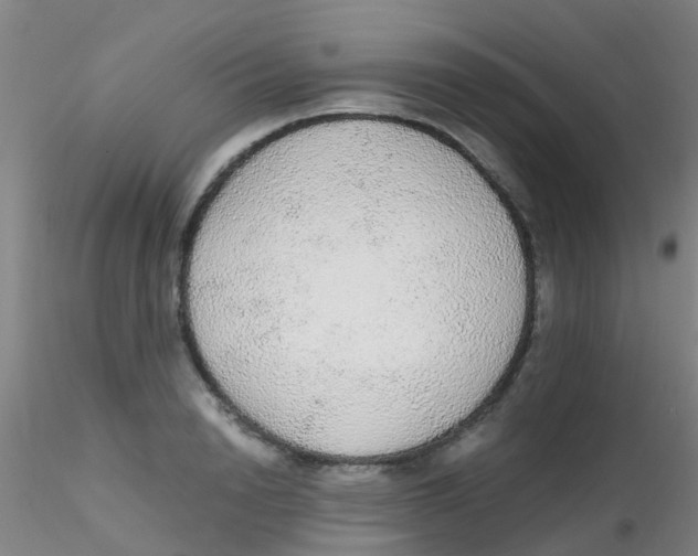 X0000115210846200911251506