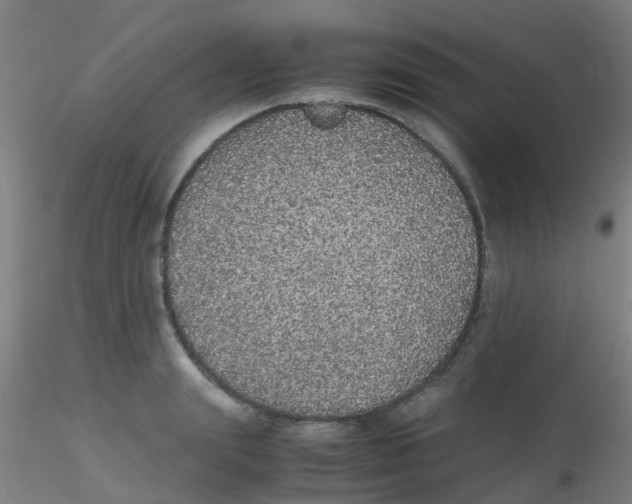 X0000115210847200911251506