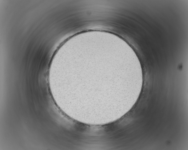 X0000115210848200911251506