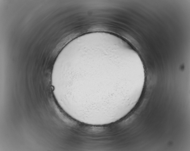 X0000115210849200911251506