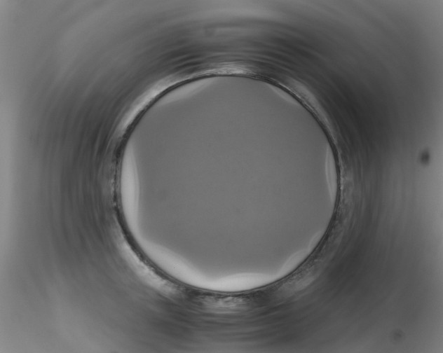 X0000115210851200911251506