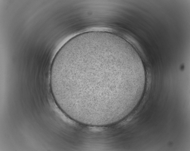 X0000115210852200911251506