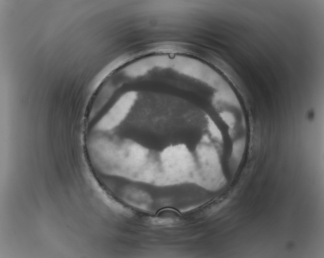 X0000115210853200911251506