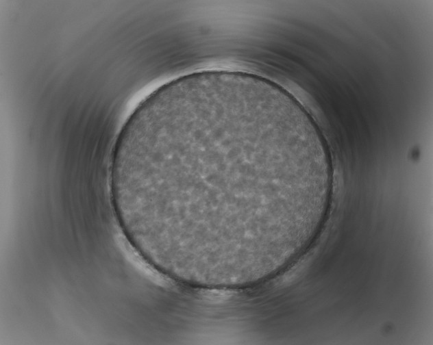 X0000115210854200911251506