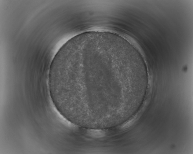 X0000115210855200911251506