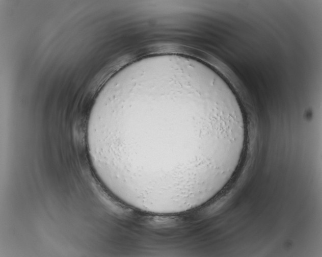 X0000115210857200911251506