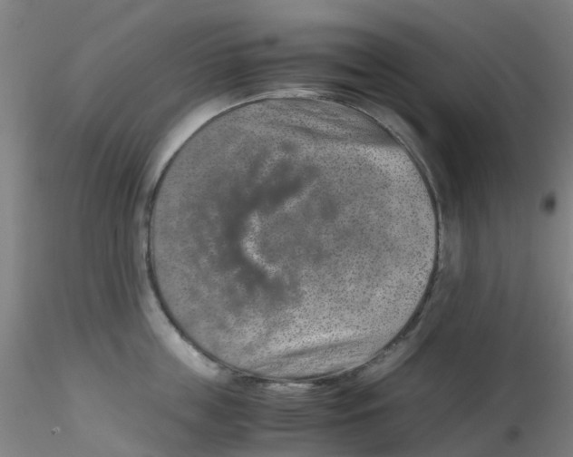 X0000115210859200911251506