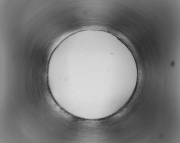 X0000115210860200911251506