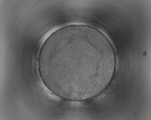 X0000115210861200911251506