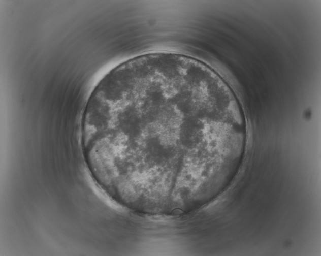 X0000115210862200911251506