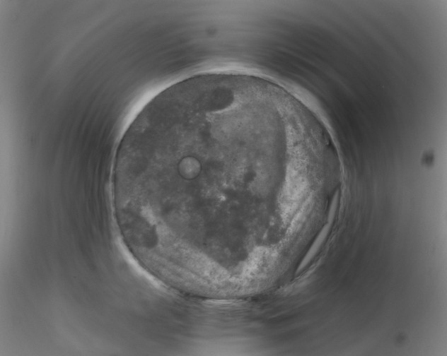 X0000115210863200911251506