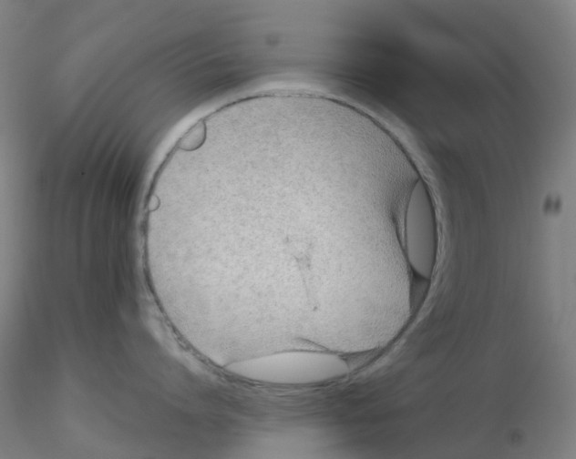 X0000115210864200911251506