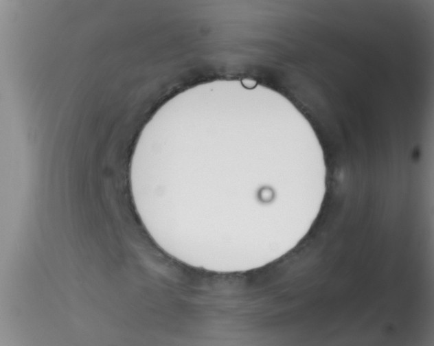 X0000115210865200911251505