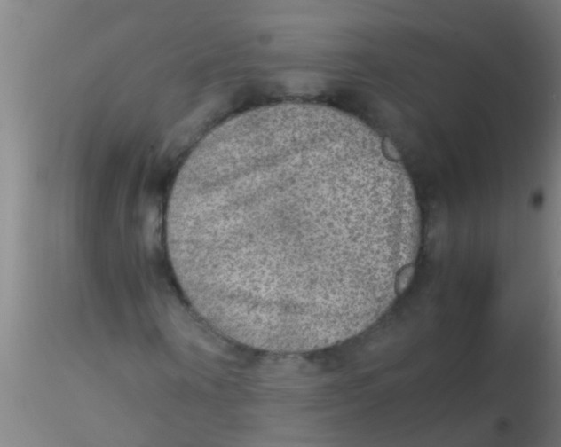 X0000115210866200911251505