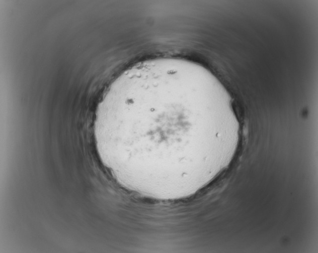 X0000115210867200911251505