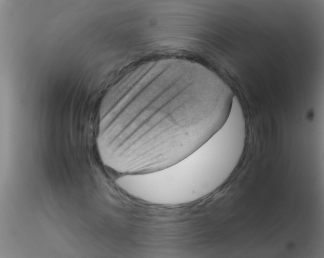 X0000115210868200911251505