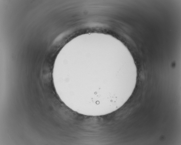 X0000115210869200911251505